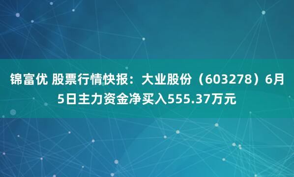锦富优 股票行情快报：大业股份（603278）6月5日主力资金净买入555.37万元