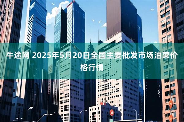牛途网 2025年5月20日全国主要批发市场油菜价格行情
