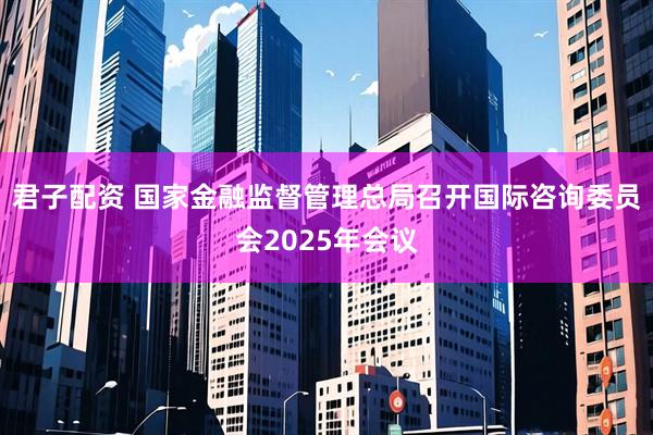 君子配资 国家金融监督管理总局召开国际咨询委员会2025年会议